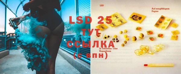 индика Лагань