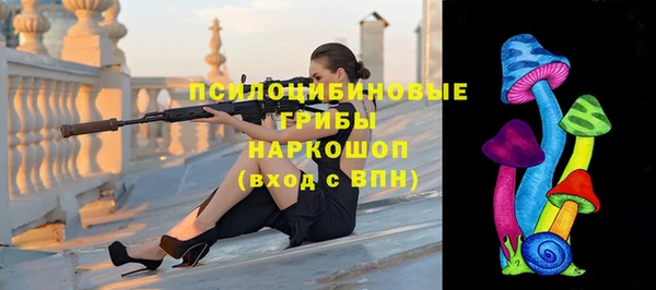 индика Лагань