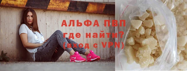 спайс Ладушкин