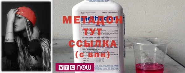 прущие грибы Лабытнанги