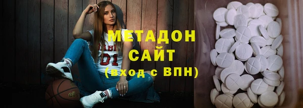 прущие грибы Лабытнанги
