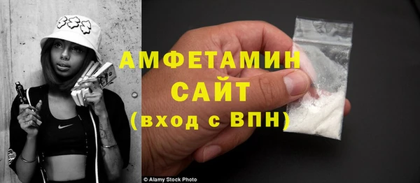 прущие грибы Лабытнанги