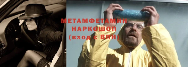 прущие грибы Лабытнанги