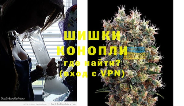 прущие грибы Лабытнанги