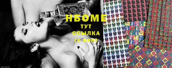 прущие грибы Лабытнанги