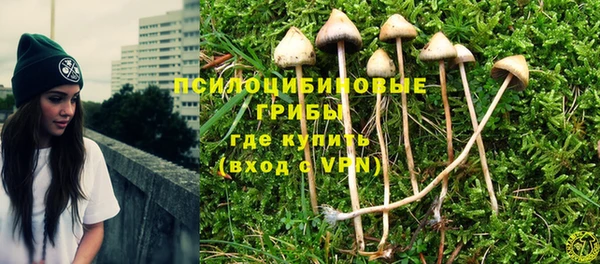 прущие грибы Лабытнанги