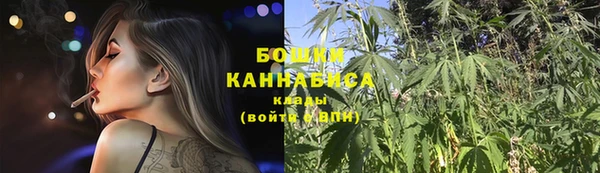 спайс Ладушкин