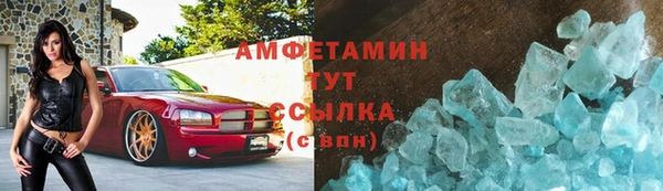 прущие грибы Лабытнанги