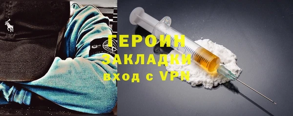 прущие грибы Лабытнанги