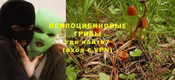 спайс Ладушкин