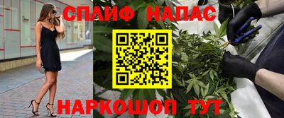 ALPHA PVP Пугачёв