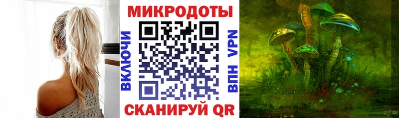 Галлюциногенные грибы Cubensis  где купить   мега рабочий сайт  Холмск 