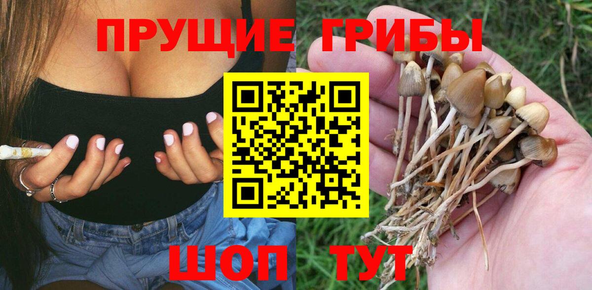 Псилоцибиновые грибы Psilocybe  где продают   Вход с VPN  Холмск  Галлюциногенные грибы Psilocybine cubensis 
